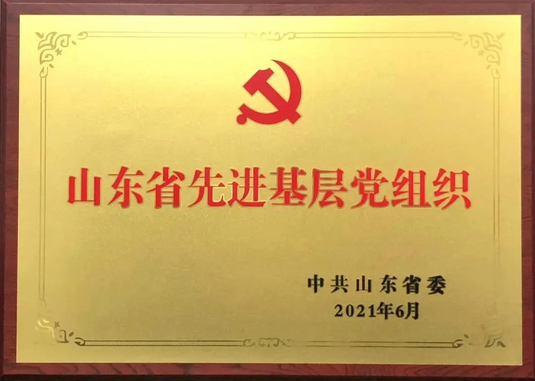 喜報(bào)|浩信集團(tuán)黨支部榮獲“山東省先進(jìn)基層黨組織”榮譽(yù)稱號(hào)